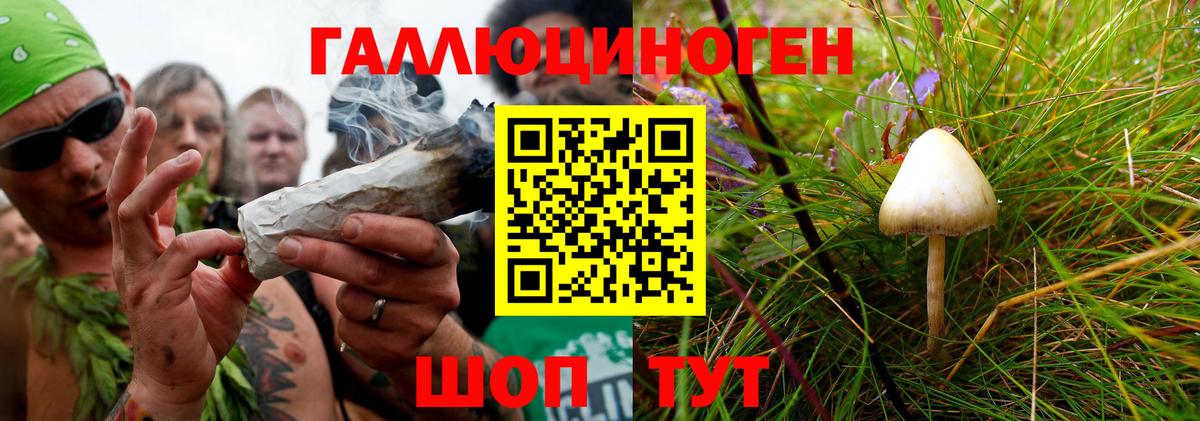 Псилоцибиновые грибы ЛСД Тавда